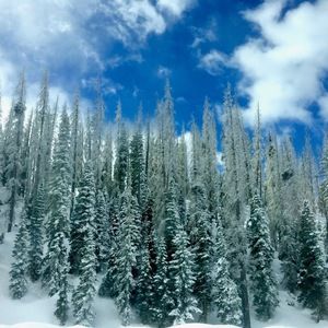 Meet your Posher, Finn